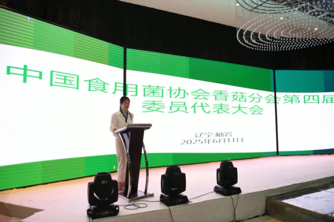 Edible Fungi mushroom supplier 2.jpeg 